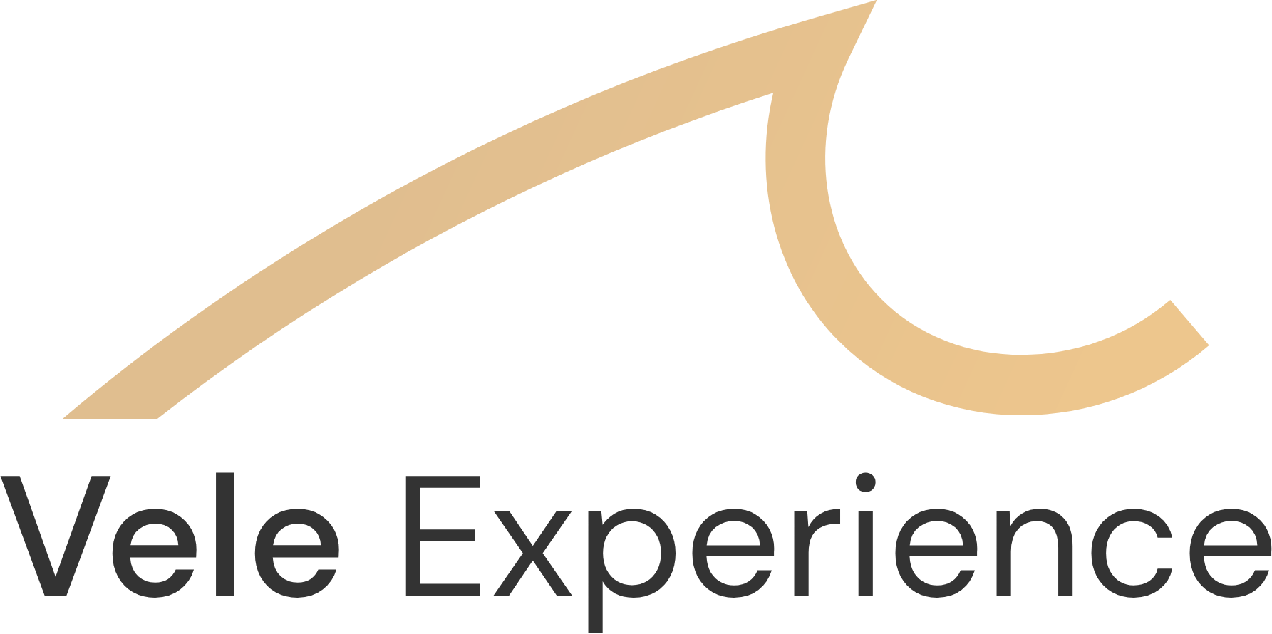 Vele Experience Logo